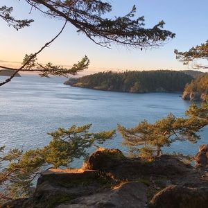 Meet your Posher, Nishat